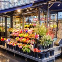 Store banne pour l&rsquo;extérieur : les avantages du sur-mesure
