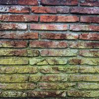 Quelles solutions adopter pour l’assèchement des murs ?