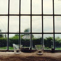 Du verre énergétique pour mes fenêtres: que des avantages ?