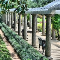 Quelle est la différence entre tonnelle et pergola ?