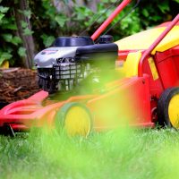 Entretien de jardin : les tâches d&rsquo;entretien que vous pouvez déléguer