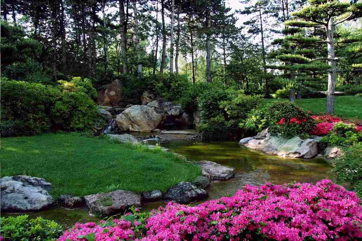 Combiner l'eau et la végétation pour un jardin apaisant