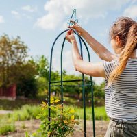 Structures Métalliques pour Jardins : Les astuces pour choisir les éléments qui améliorent l&rsquo;apparence de votre espace extérieur