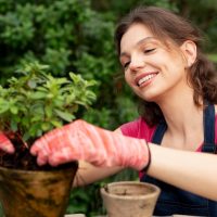 Comment créer un jardin écologique ?