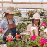 Comment le jardinage peut améliorer votre bien-être au quotidien ?