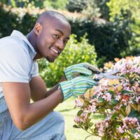 Entretien jardin : astuces essentielles pour un jardin fleuri