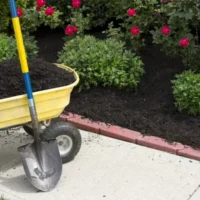 Entretien jardin : comment gagner du temps efficacement ?
