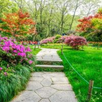 Les indispensables du jardin paysager : 10 plantes vivaces pour un effet « Waouh » durable