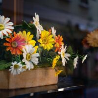 Plantes artificielles : astuces pour une déco extérieure réaliste